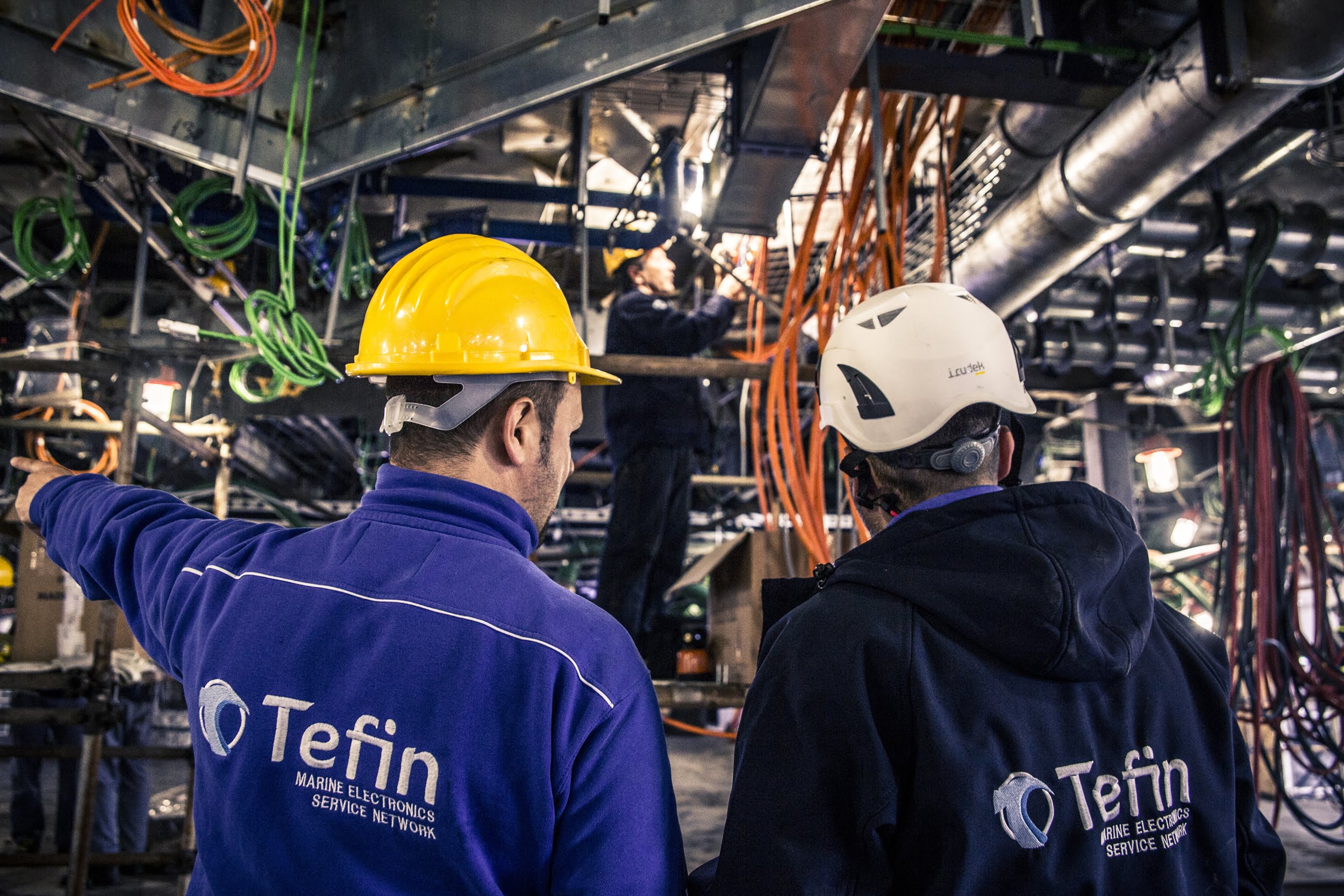 We have a new web site www.tefinitalia.it !