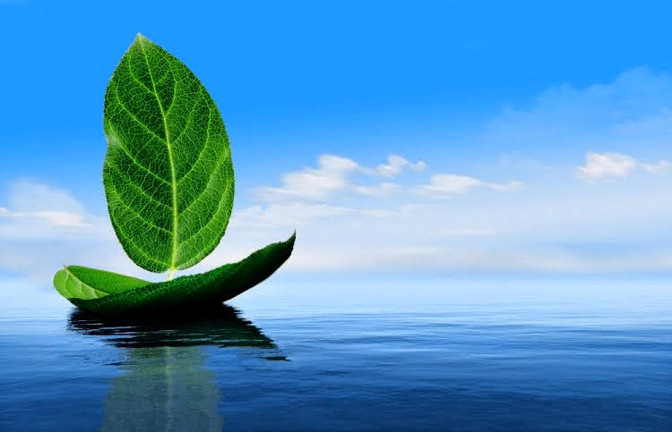 Vi siete mai chiesti come riuscire ad ottimizzare il consumo energetico e ridurre l’inquinamento ambientale?